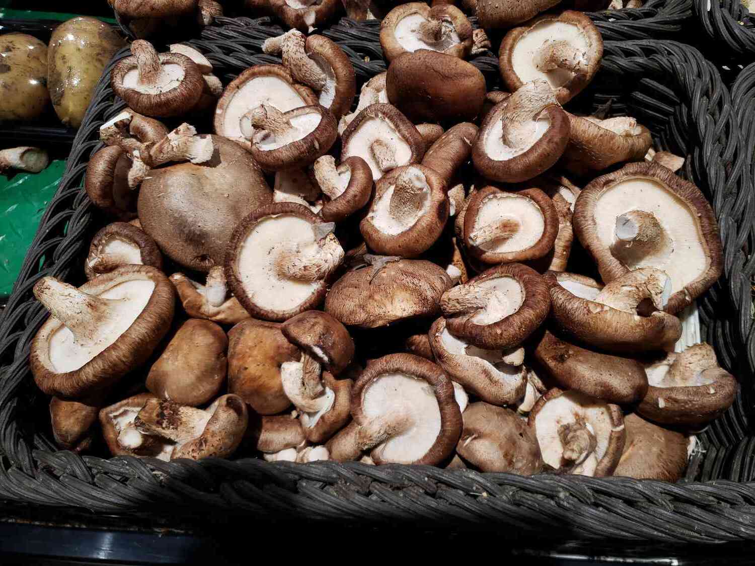 關於香菇的34個事實