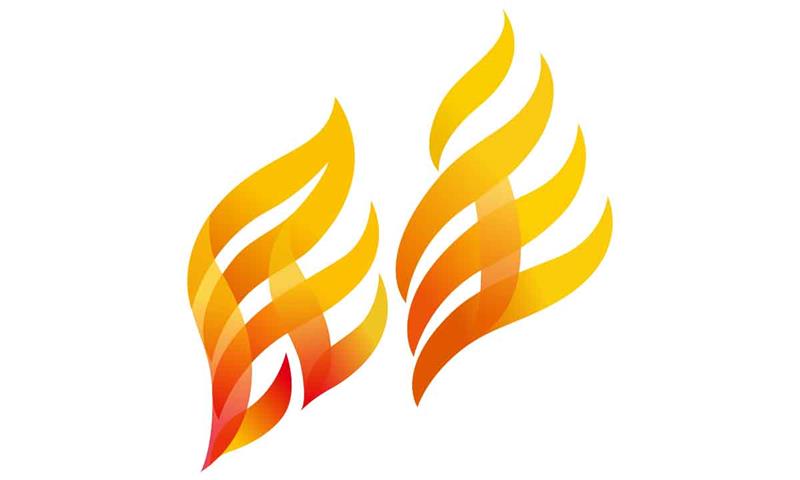 關於新民主同盟的30個事實
