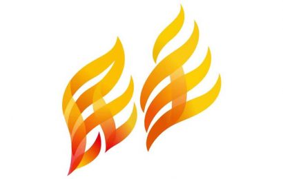 關於新民主同盟的30個事實 