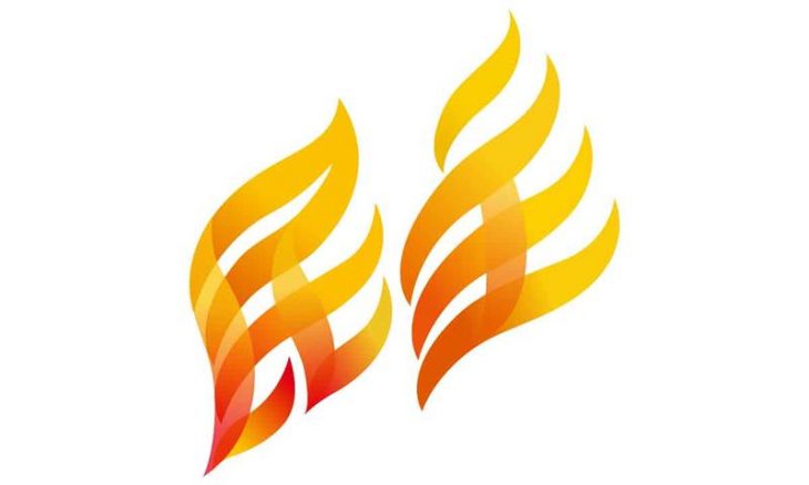 關於新民主同盟的30個事實